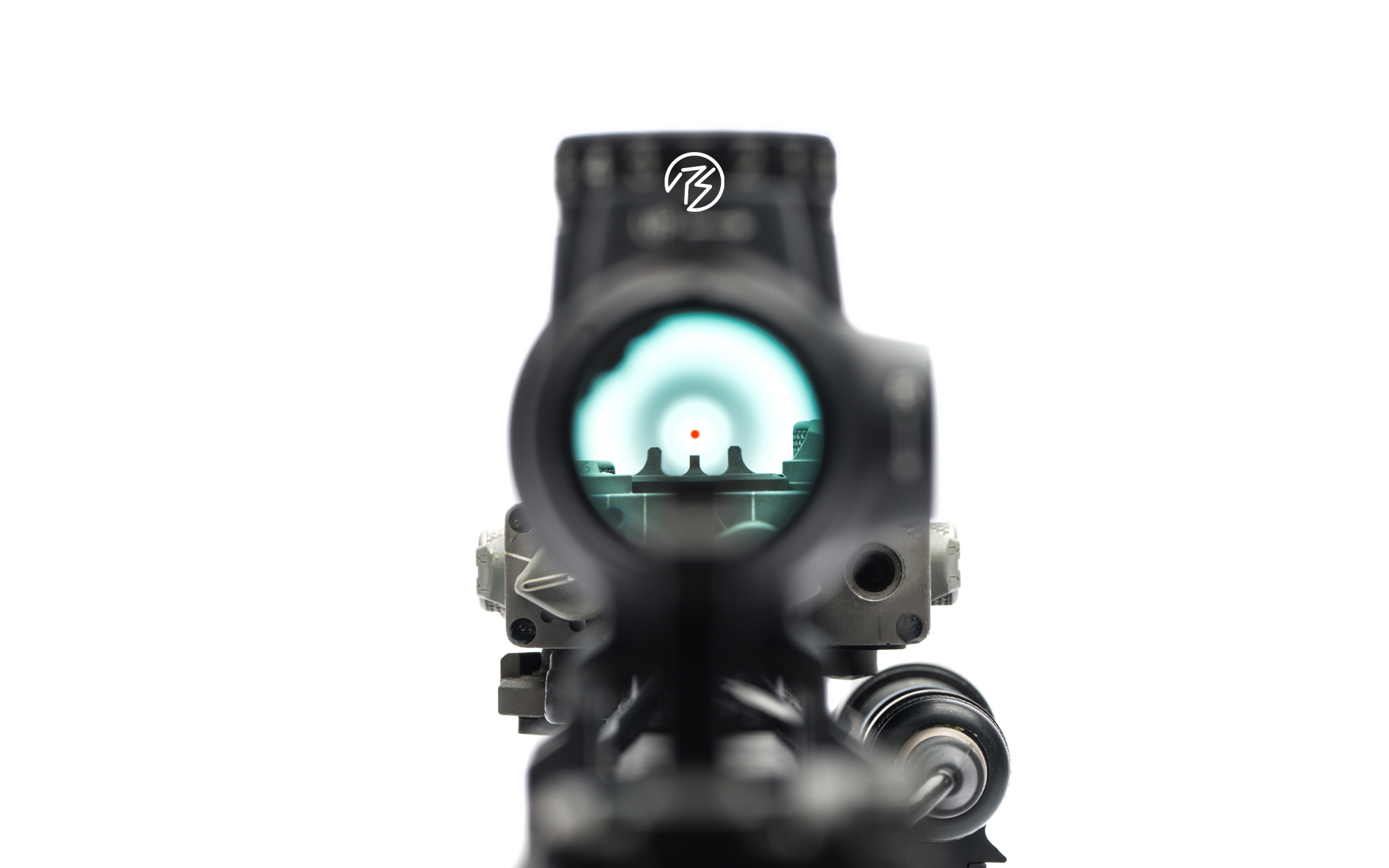 red dot with fixed iron sights